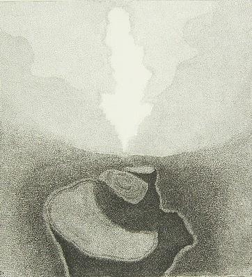 Il temporale di maggio stringe l'albero - copertina