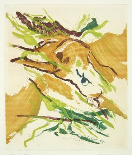 Senza titolo - copertina