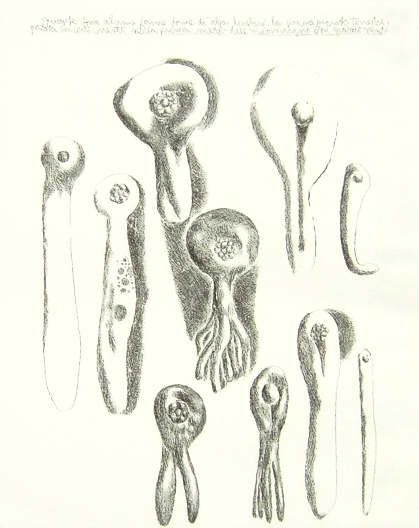 Studio Bibliografico Marini