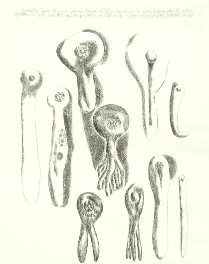 Senza titolo - copertina