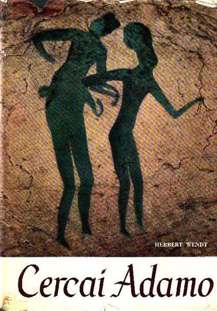 Cercai Adamo - copertina