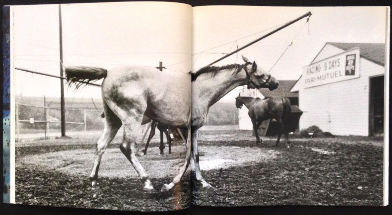 Studio Bibliografico Marini