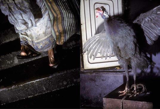 Kolkata - Tiane Doan Na Champassak - 4