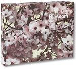 Blossom