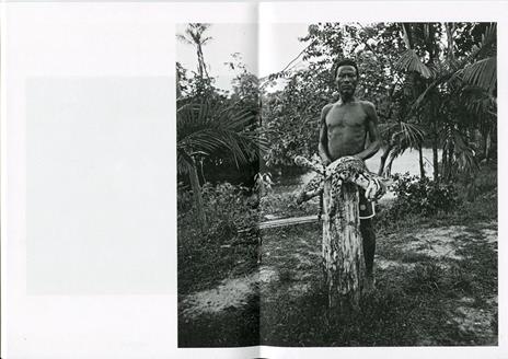 O inferno verde - Edo Simoes - copertina