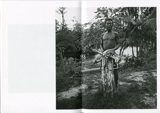 O inferno verde - Edo Simoes - copertina