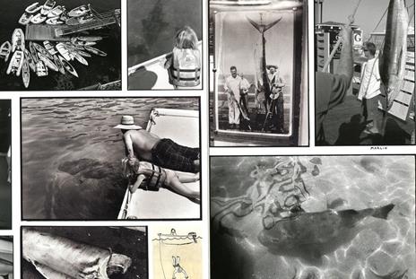 Adventures in the Nearby Far Away - Ed Templeton - 4