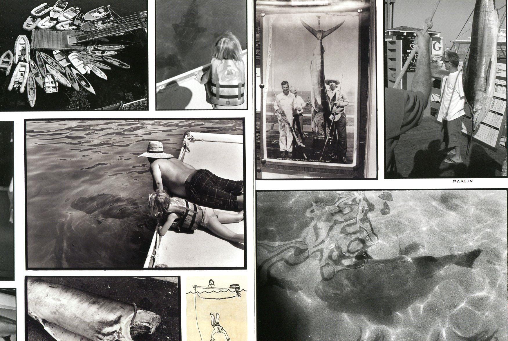 Adventures in the Nearby Far Away