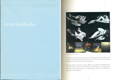 Invisibile - copertina