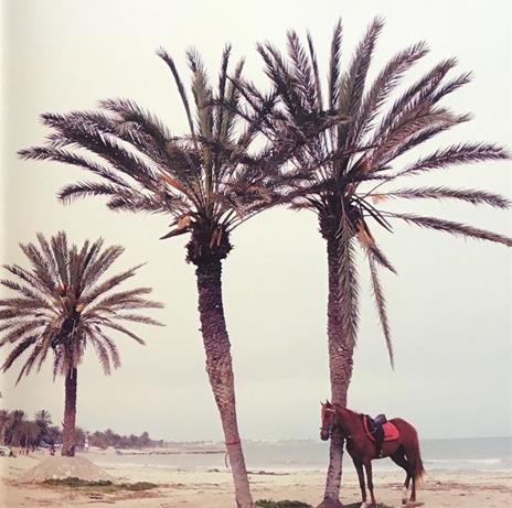 iDyssey - Stefano De Luigi - 8