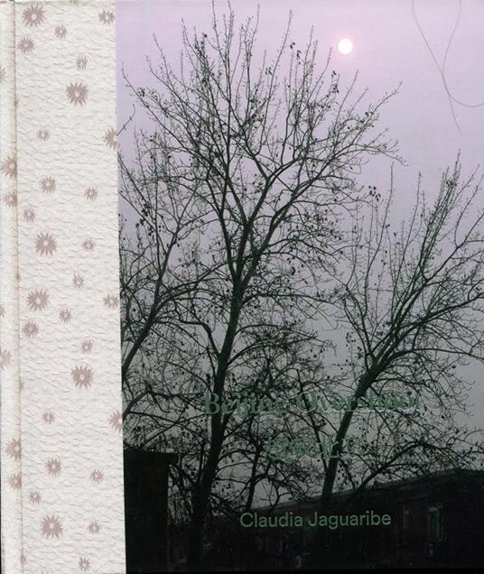 Bejiing Overshoot - Claudia Jaguaribe - 2