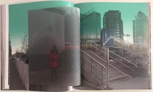 Bejiing Overshoot - Claudia Jaguaribe - 5