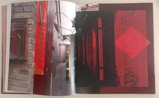 Bejiing Overshoot - Claudia Jaguaribe - 9