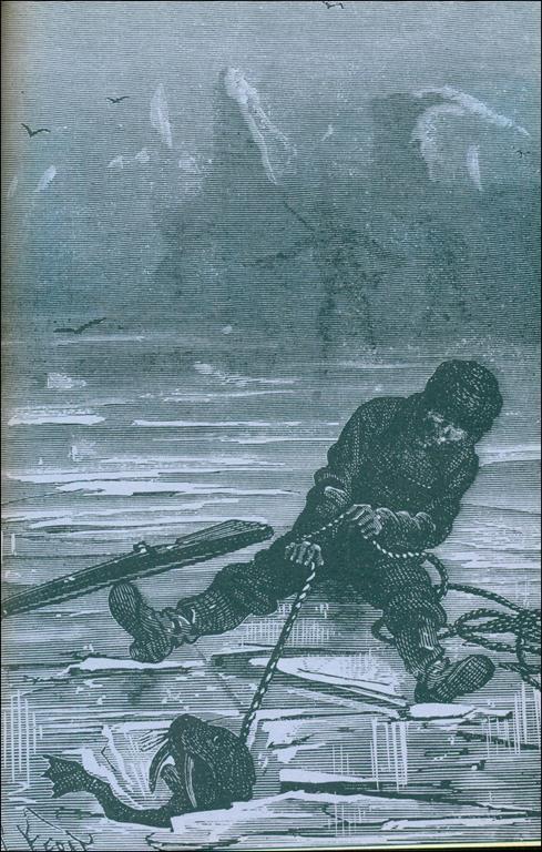 Il paese delle pellicce - Jules Verne - 2