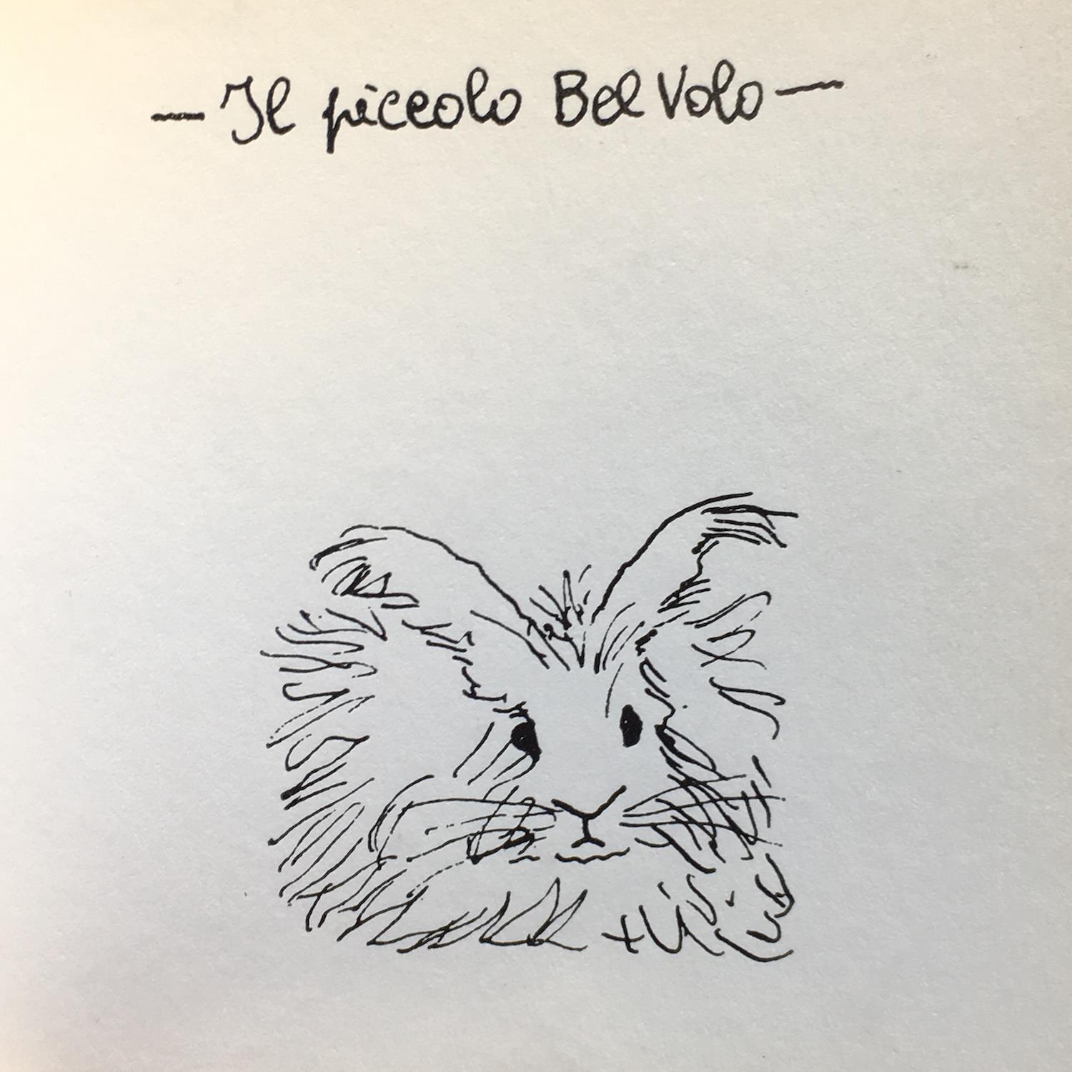 I coniglietti