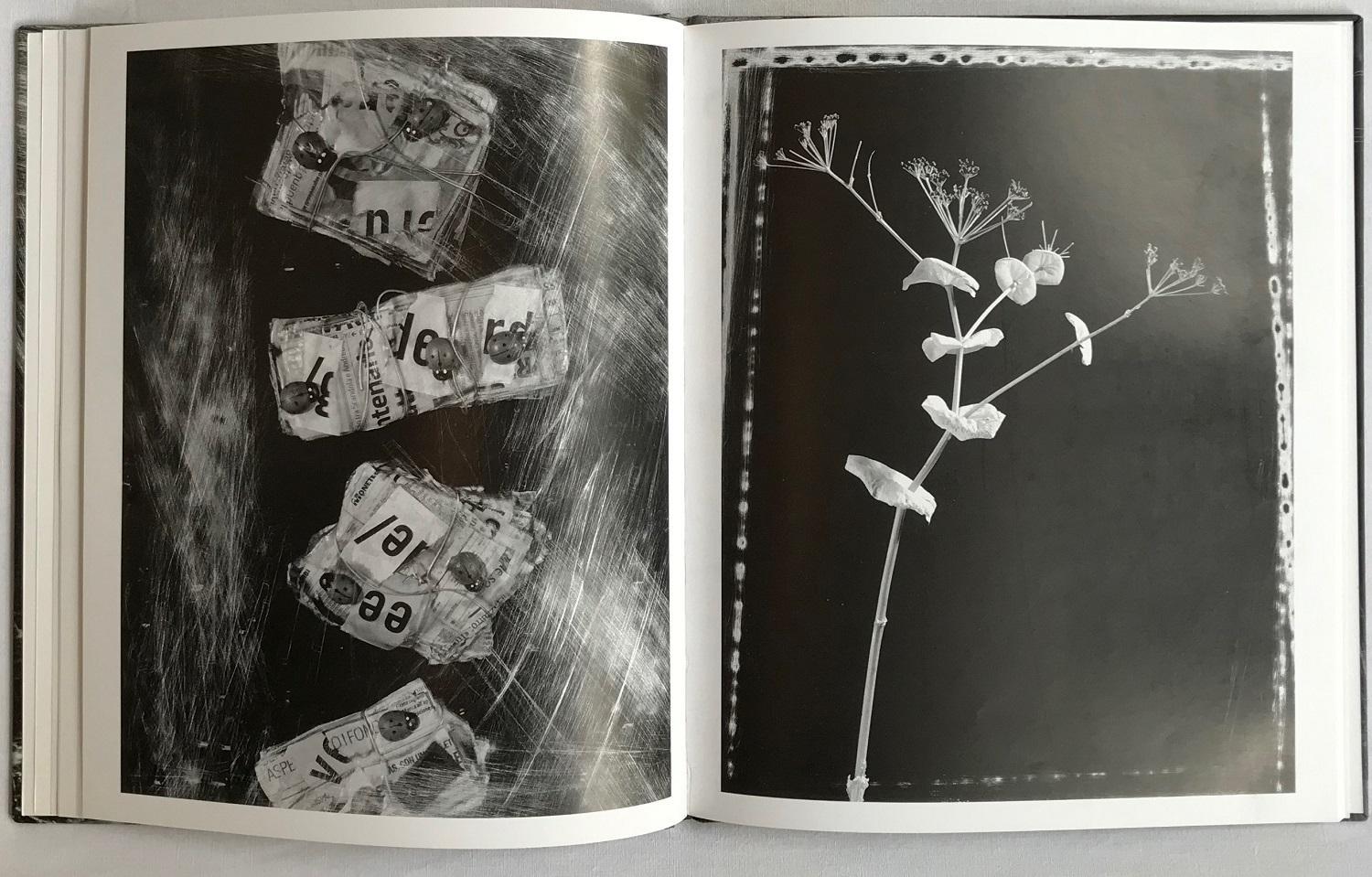 Attilio Scimone. Materia, luce, irriducibilità