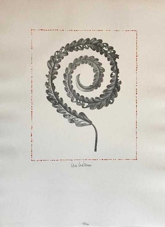 7 foglie - Leo Lionni - 6