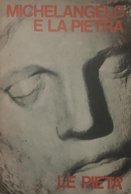 Michelangelo e la pietra. Le pietà - Michelangelo Buonarroti - copertina