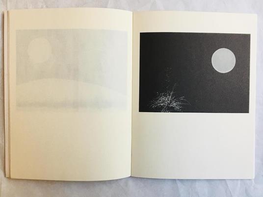 Cecco Ceccherini. La Luna - 5