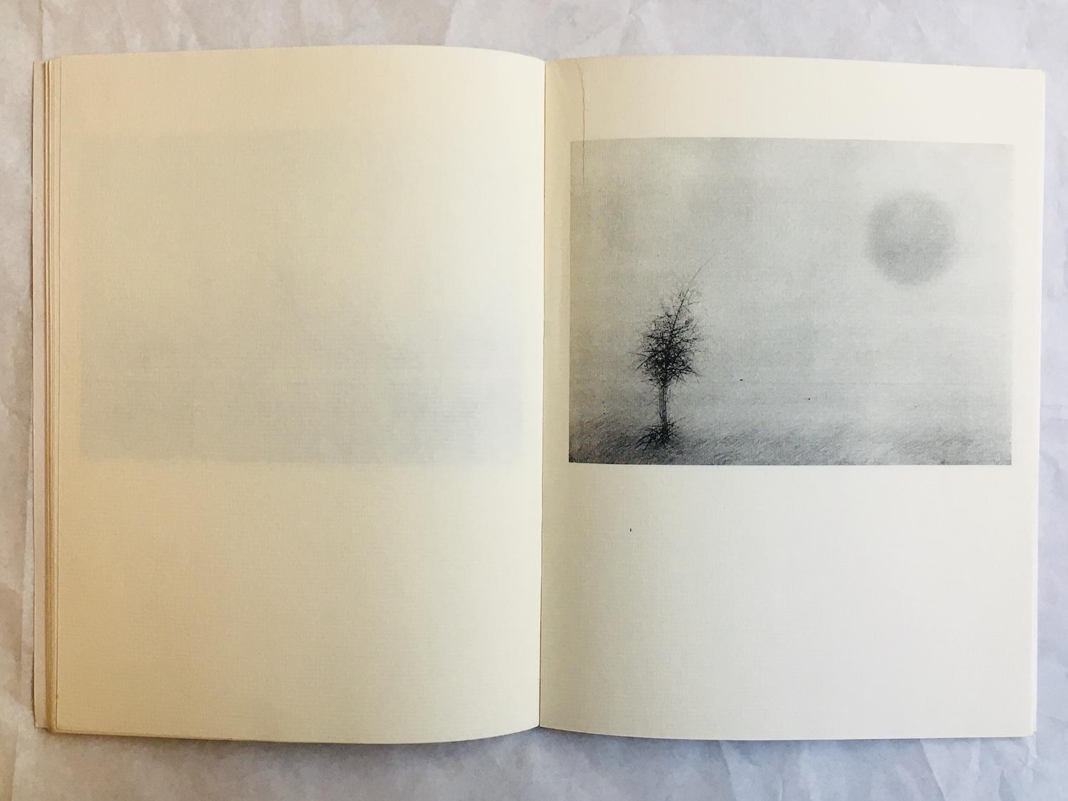 Cecco Ceccherini. La Luna