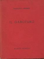 Il garofano