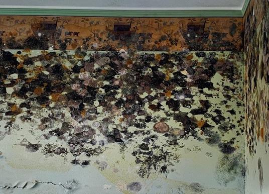 After the Flood - Robert Polidori - 10