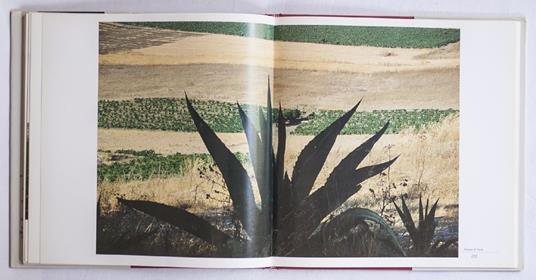 Viaggio in Sicilia - Franco Fontana - 5