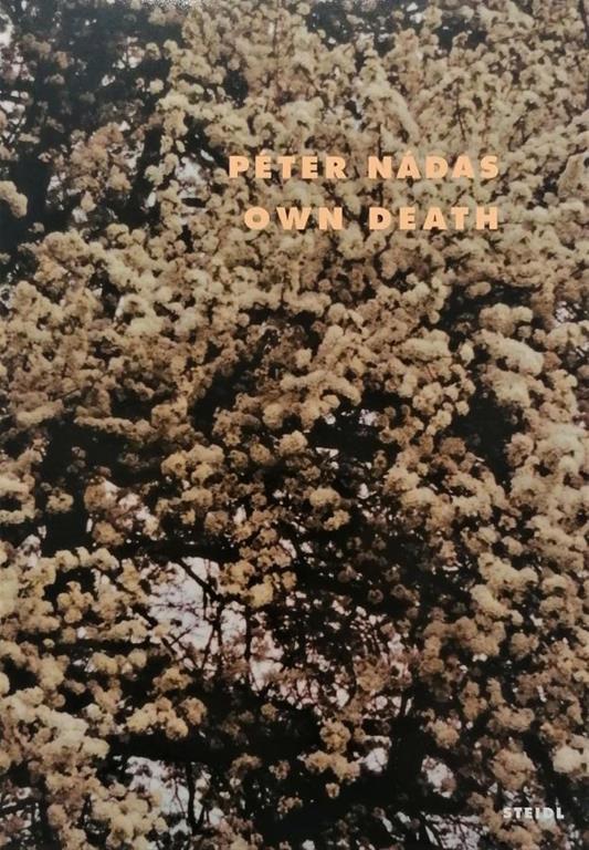 Own Death - copertina