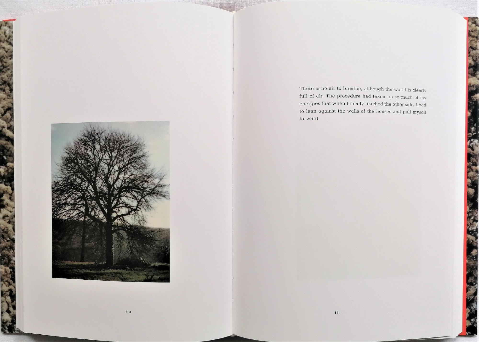 Studio Bibliografico Marini