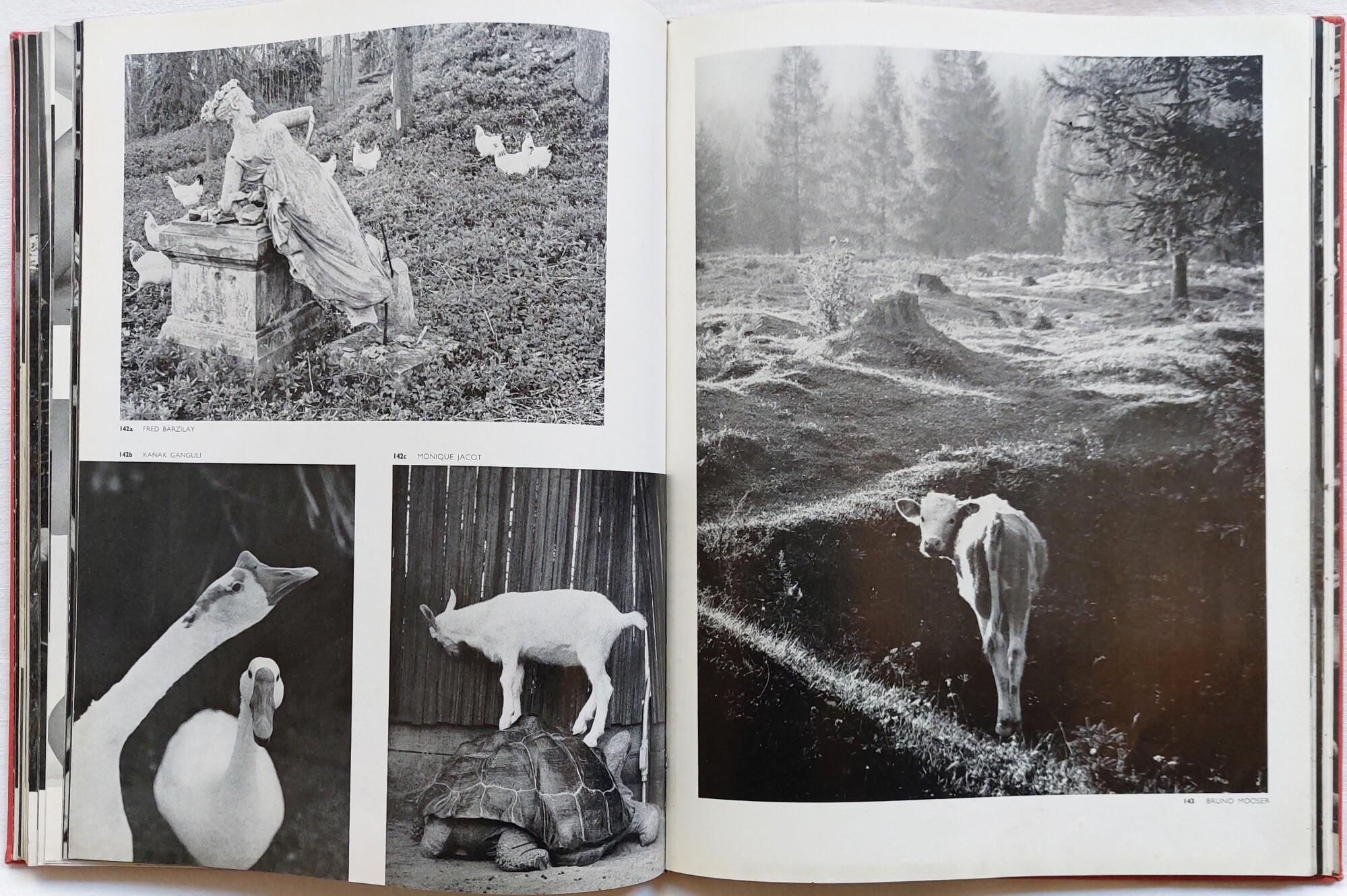 Photography Year Book 1961