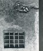 Enzo Vicentini. Opere dal 1971 al 1972. Galleria Il Fante di Spade 1973