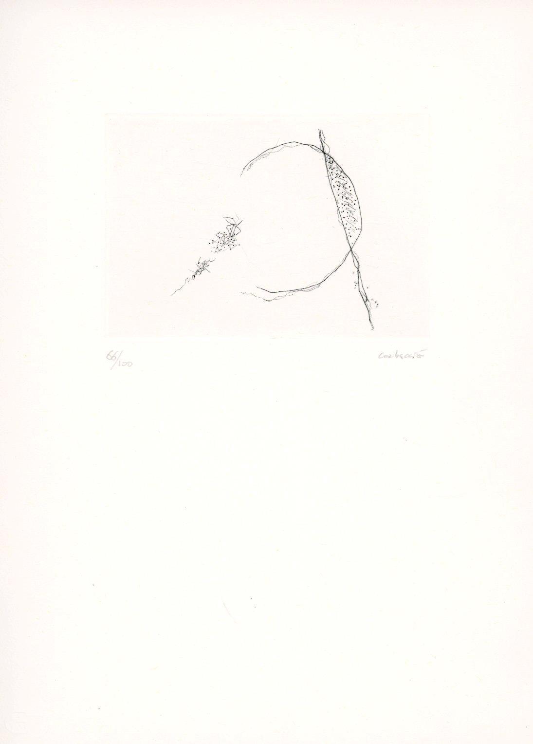 Even grass has a song