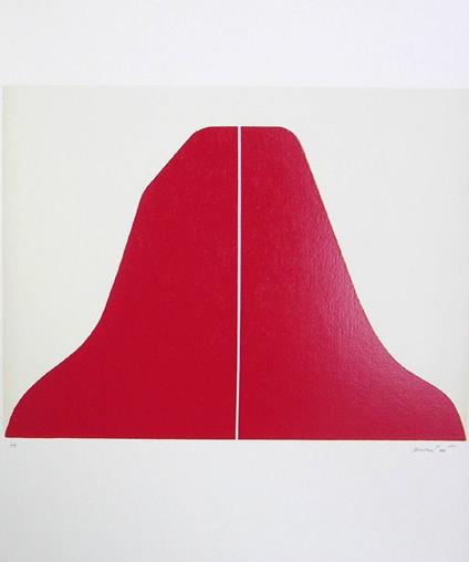 Senza titolo - Rodolfo ARICÒ - copertina