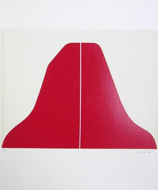 Senza titolo - Rodolfo ARICÒ - copertina