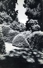 Invito alla mostra della galleria La Città