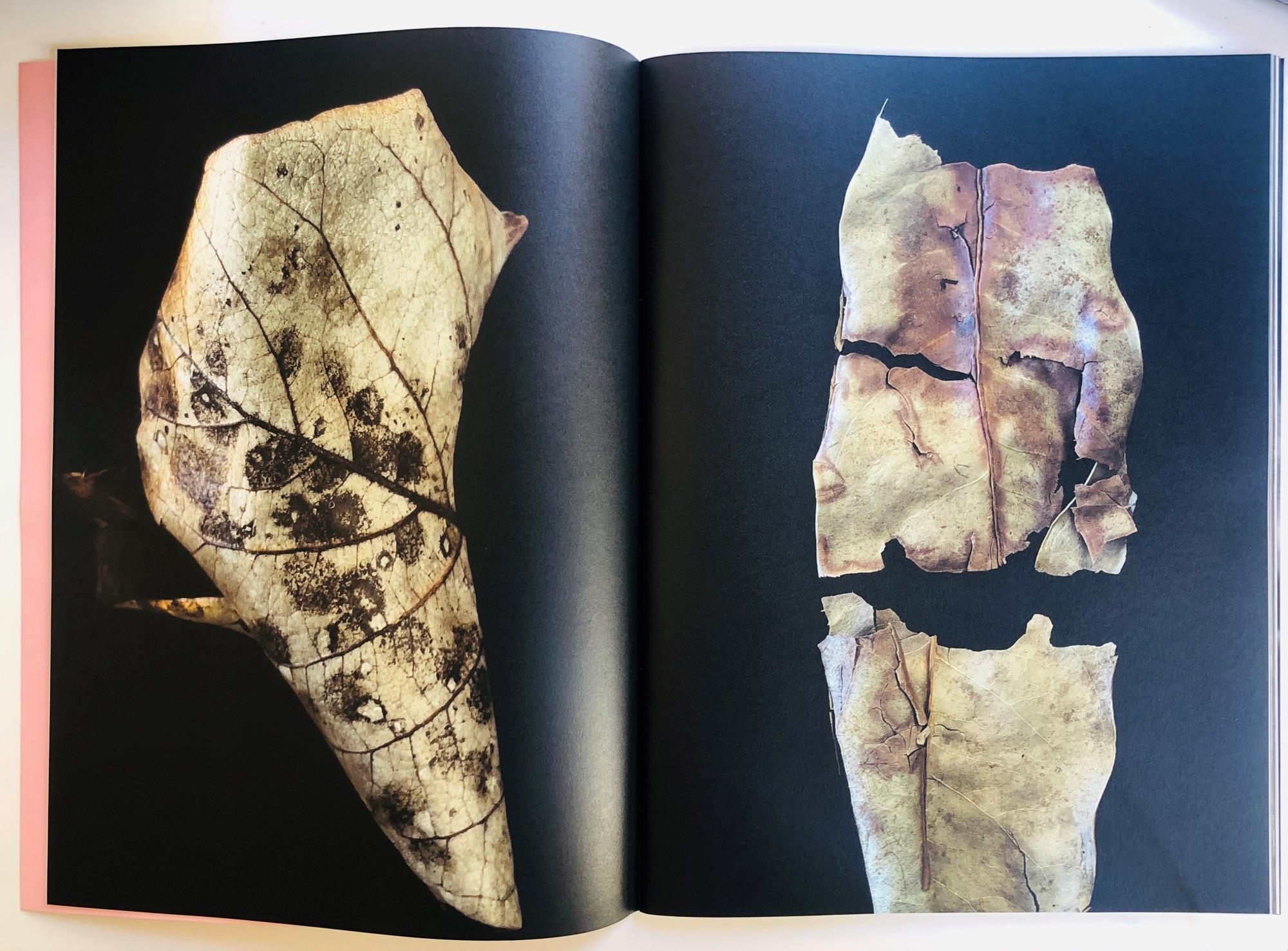 Studio Bibliografico Marini