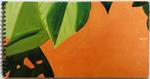 Alex Katz