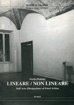 Linear / Non Linear from art (dissipation) to outside-artist 1987-1992