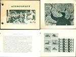 Atemporale