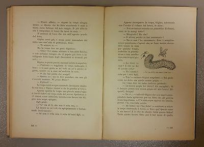 Ciondolino - Bertelli Luigi - 1931