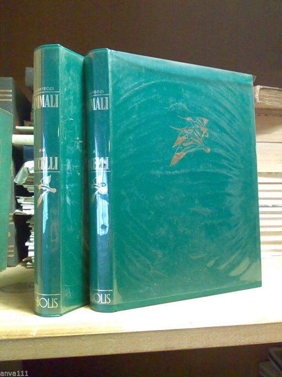 Amarcord Libri