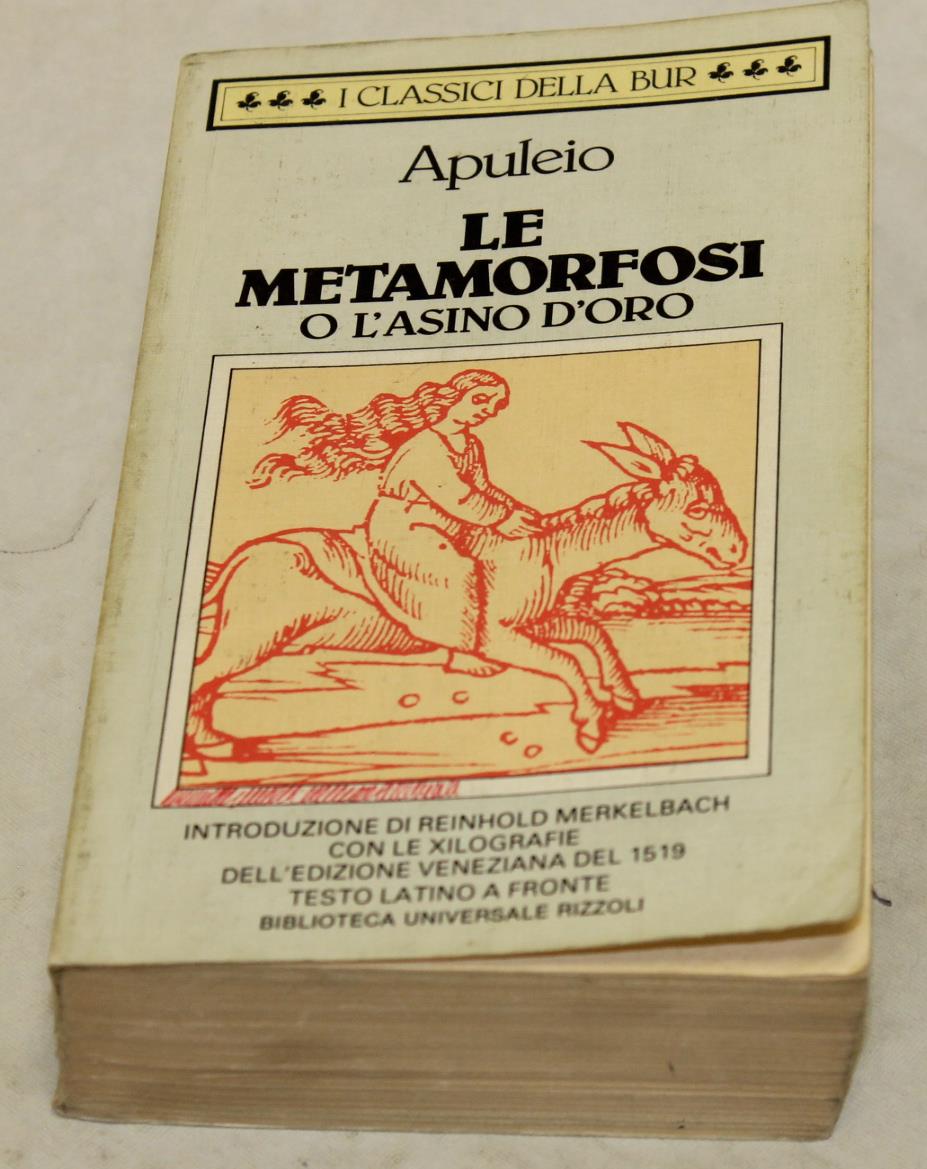 Amarcord Libri