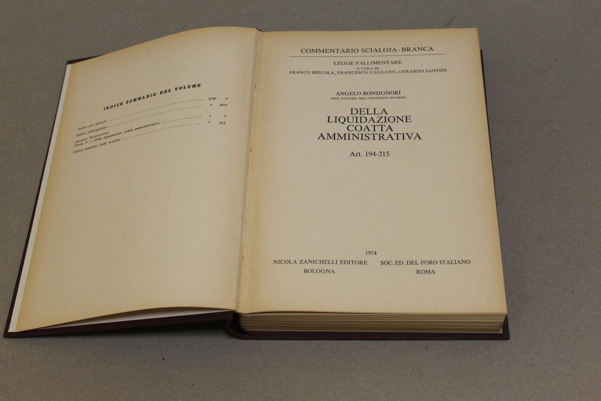 Della liquidazione dell'attivo