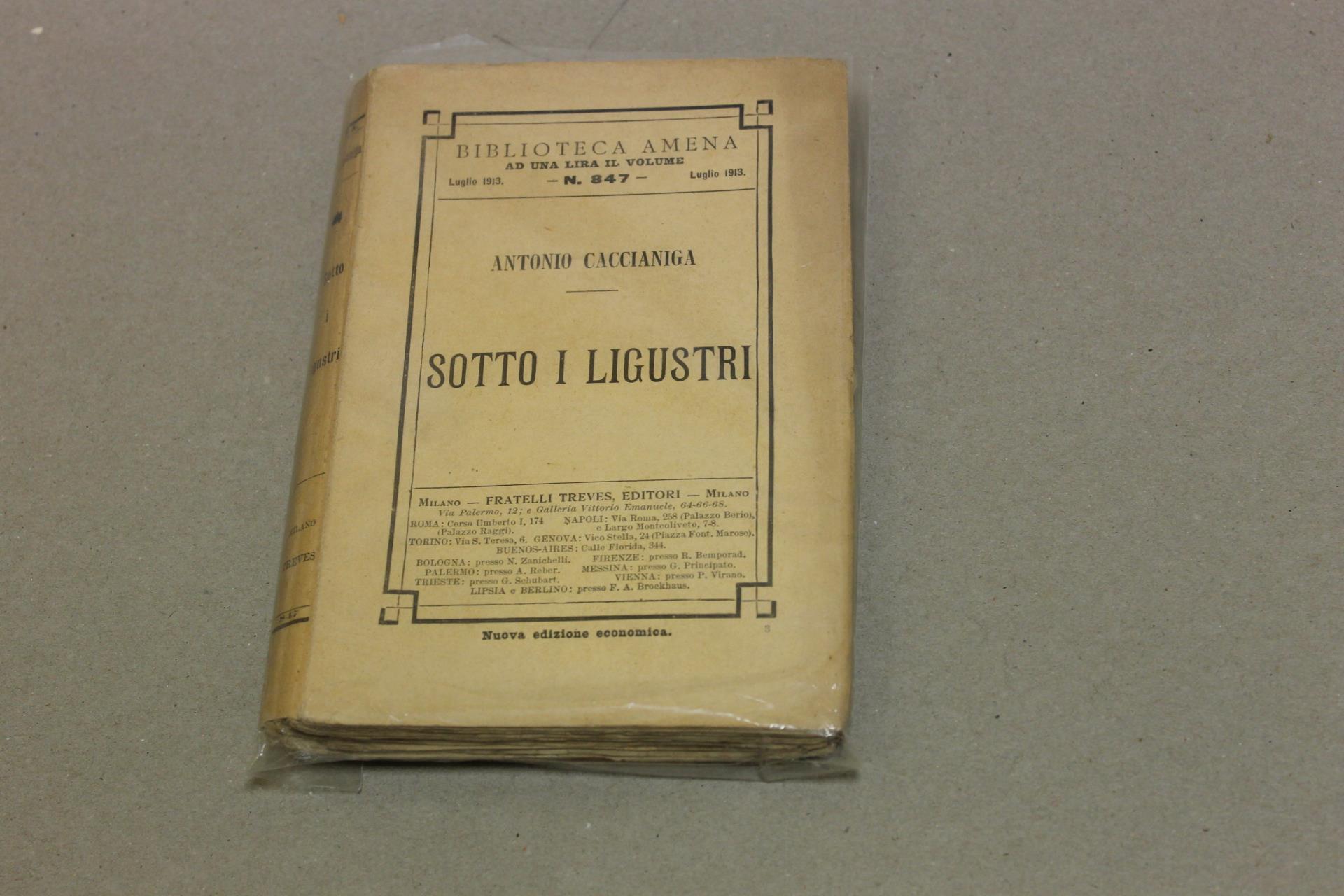 Sotto i ligustri