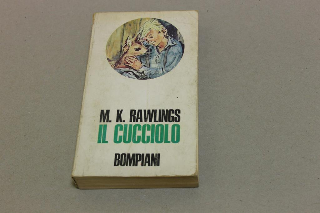 Amarcord Libri