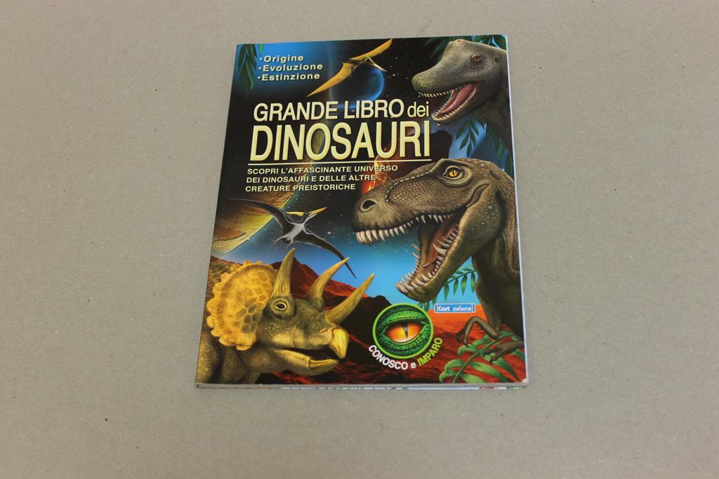 Amarcord Libri