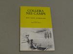 Collera nei campi
