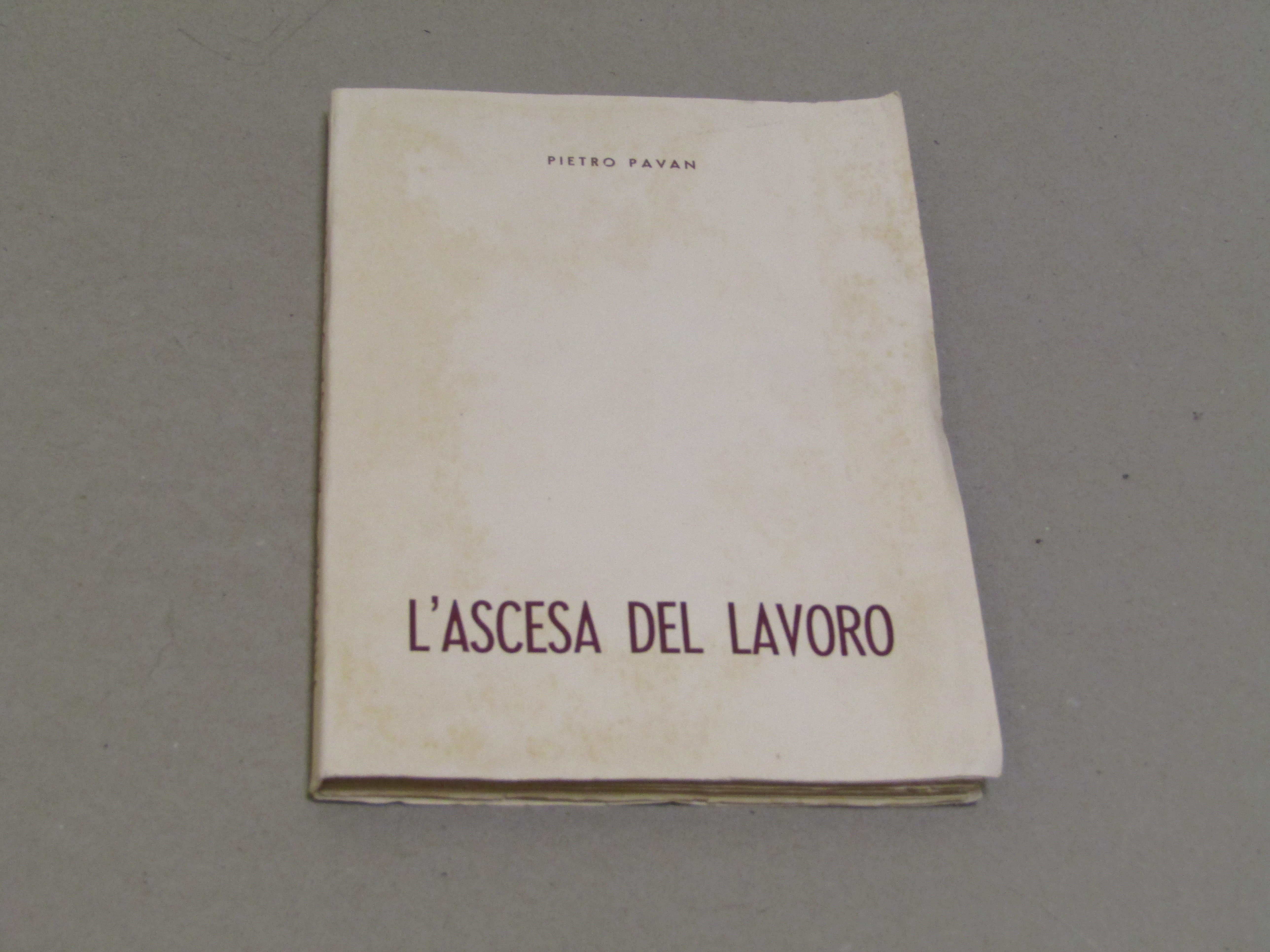 Amarcord Libri