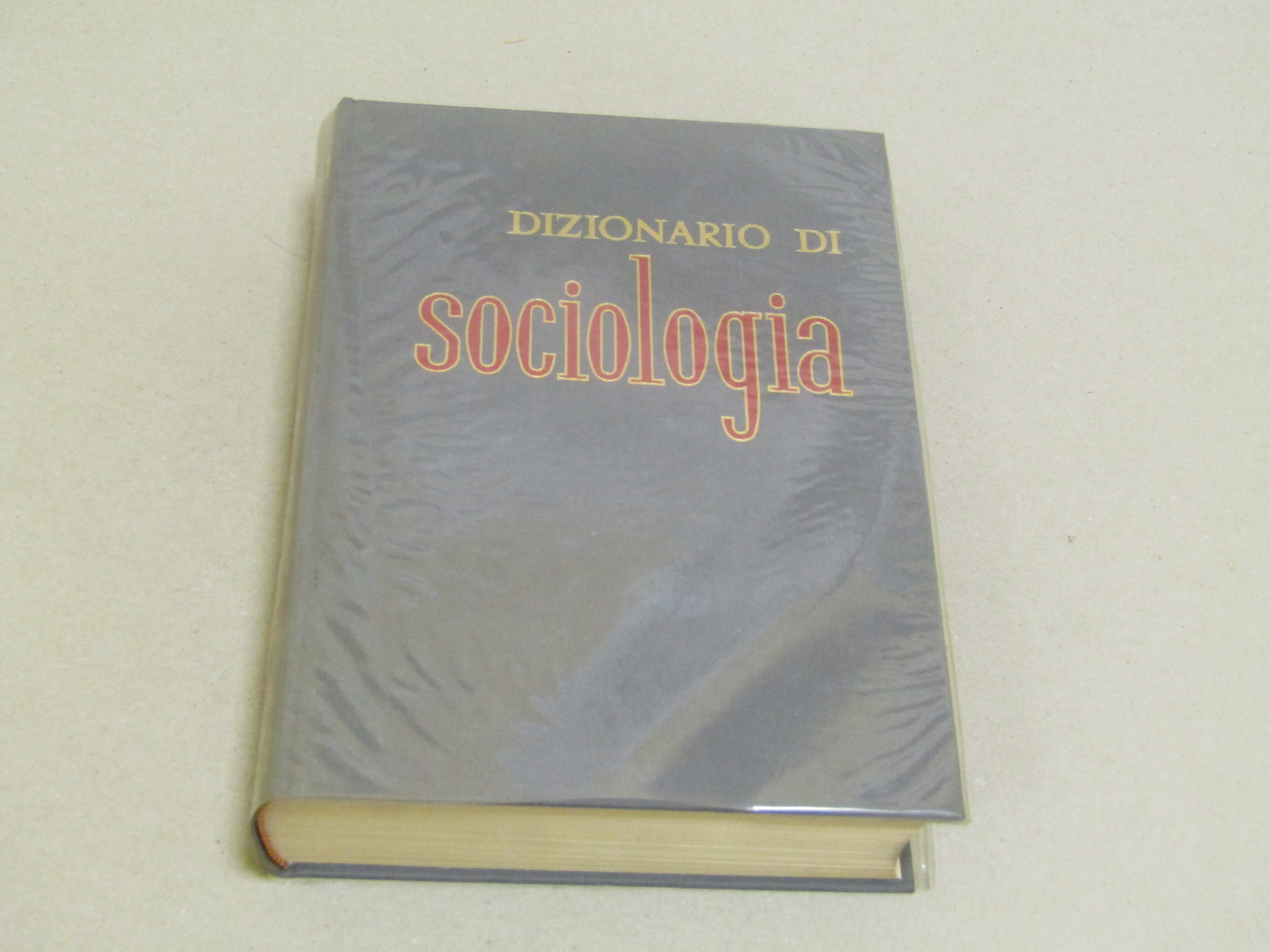 Amarcord Libri