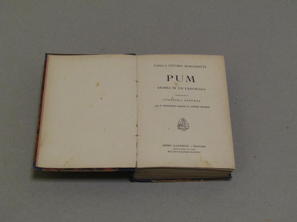 Amarcord Libri